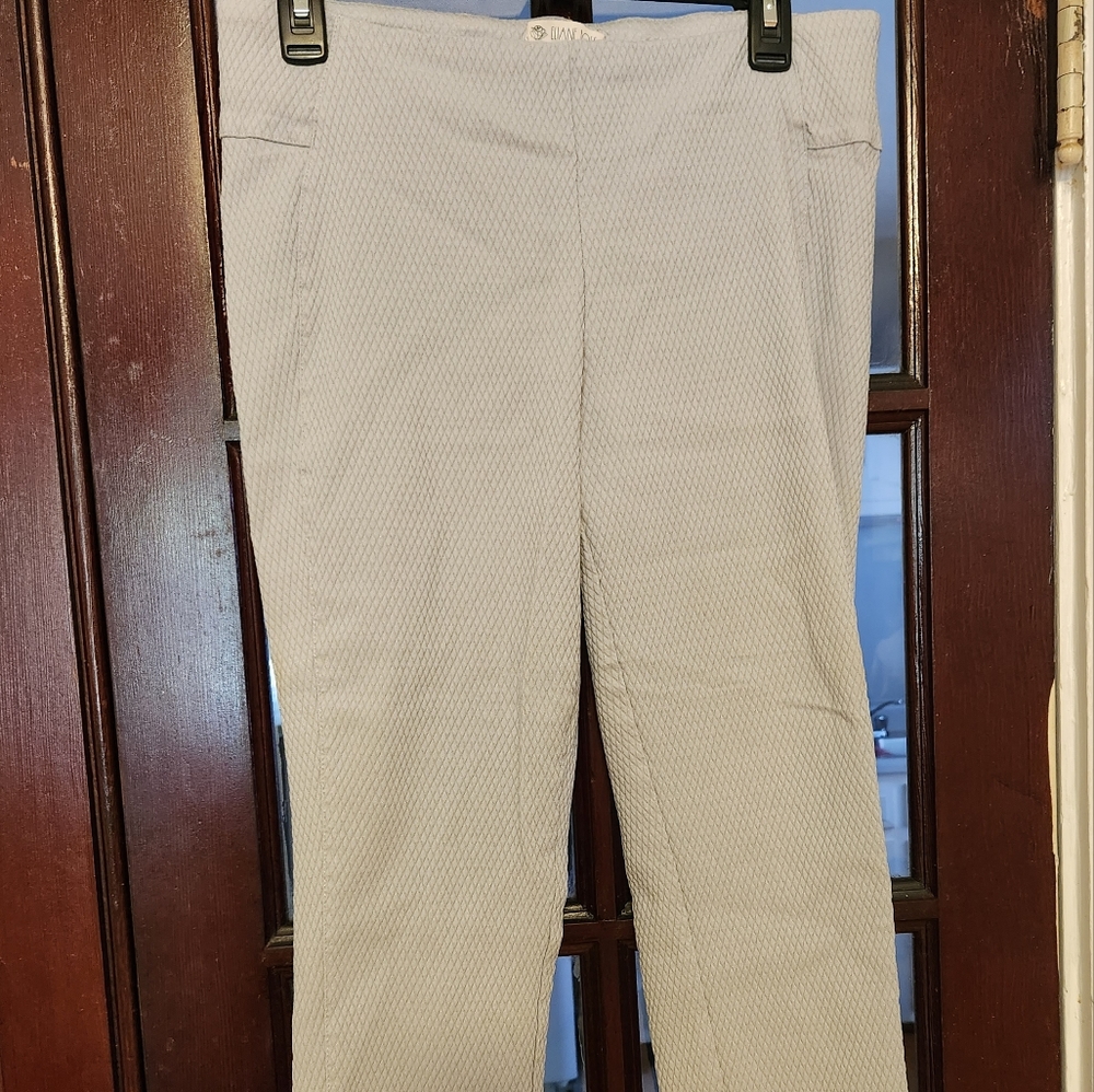 Fitted Dress Pants